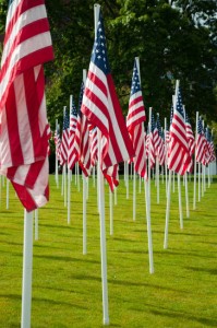 Rows of American flags at the park on Memorial Day