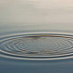 Wave Ripple Circle on the lake