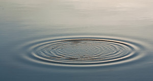 Wave Ripple Circle on the lake